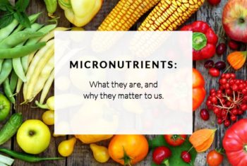 why do micronutrients matter in your diet