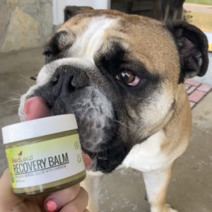recovery balm work out with your pet