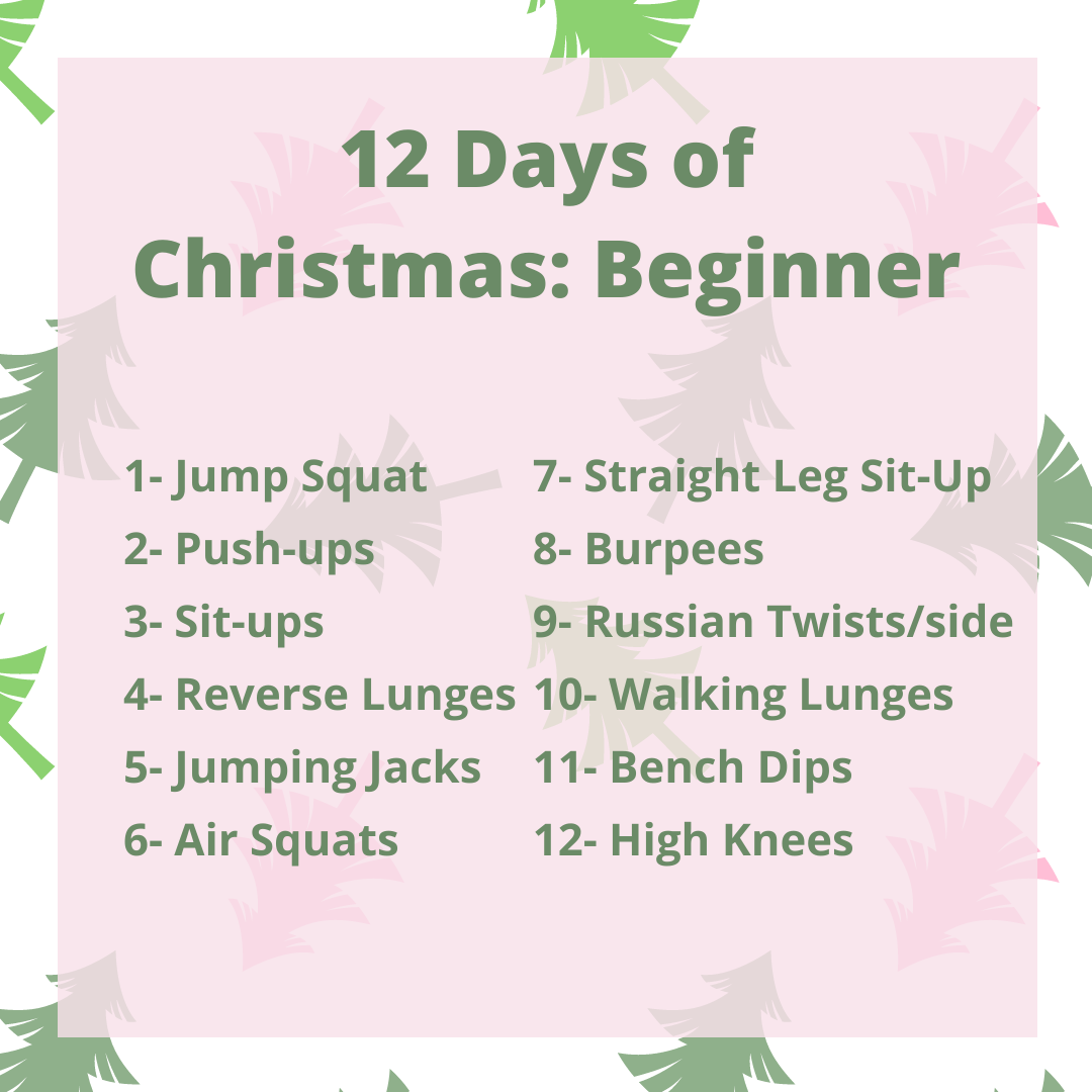 12 days of christmas