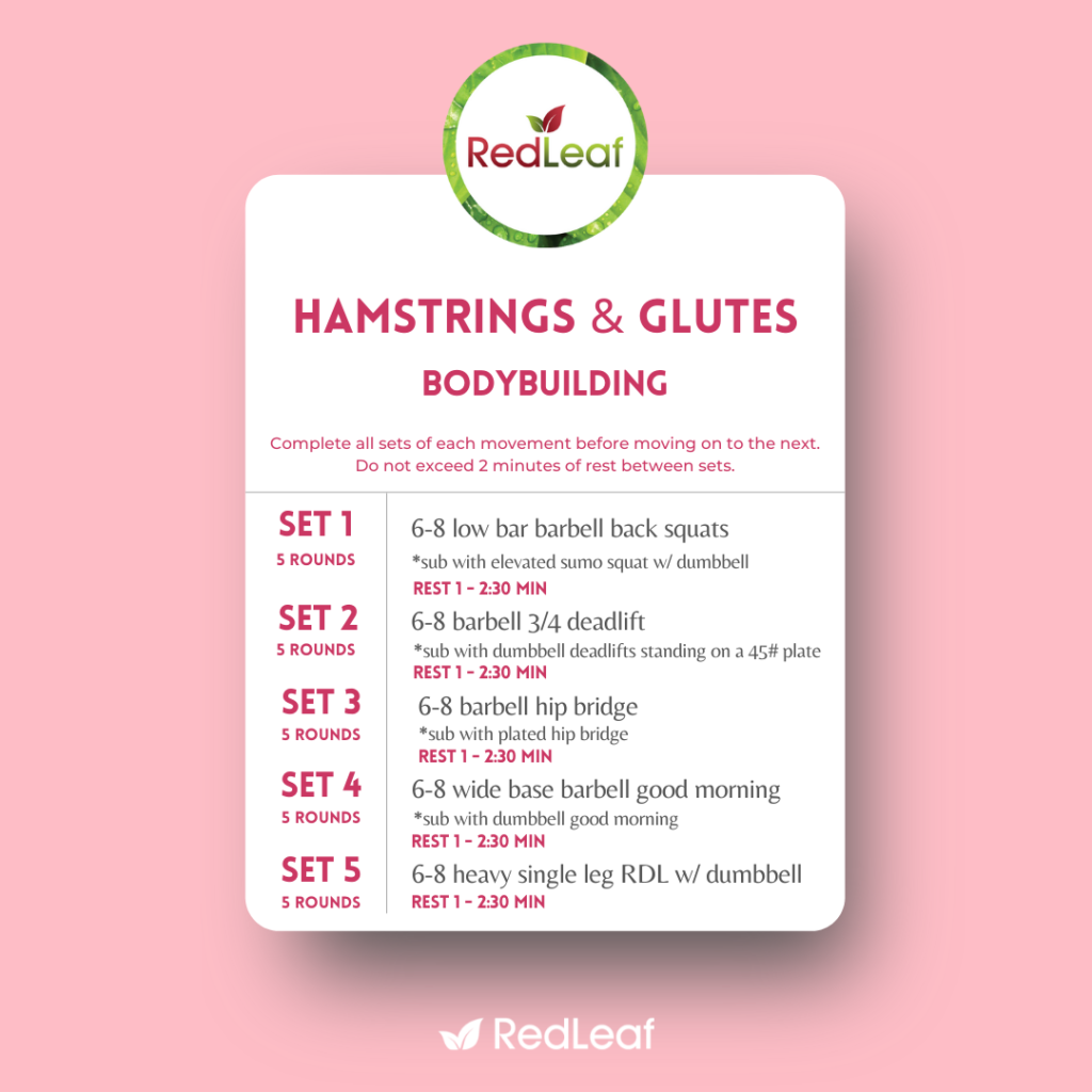 hamstrings and glutes workout